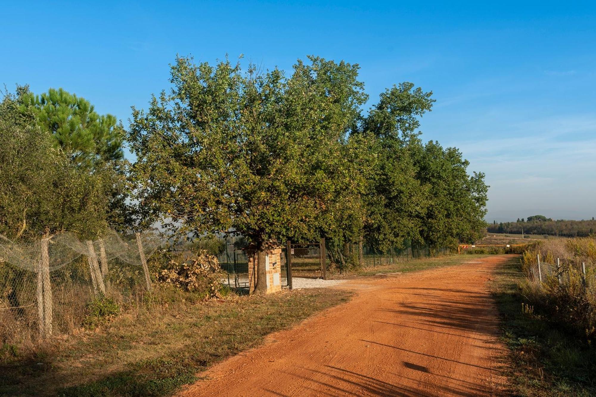 Podere Abbazia B&B Sinalunga Εξωτερικό φωτογραφία